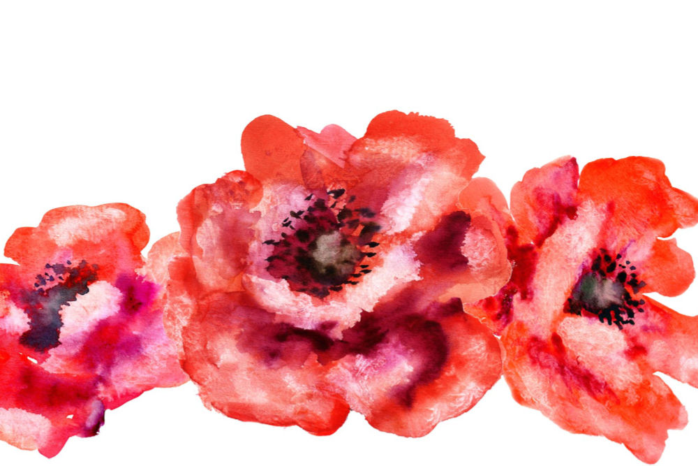 Ilustracja przedstawia trzy czerwone kwiaty maku. Stanowią one motyw graficzny dla cyklu Jeszcze Polska Muzyka 2016